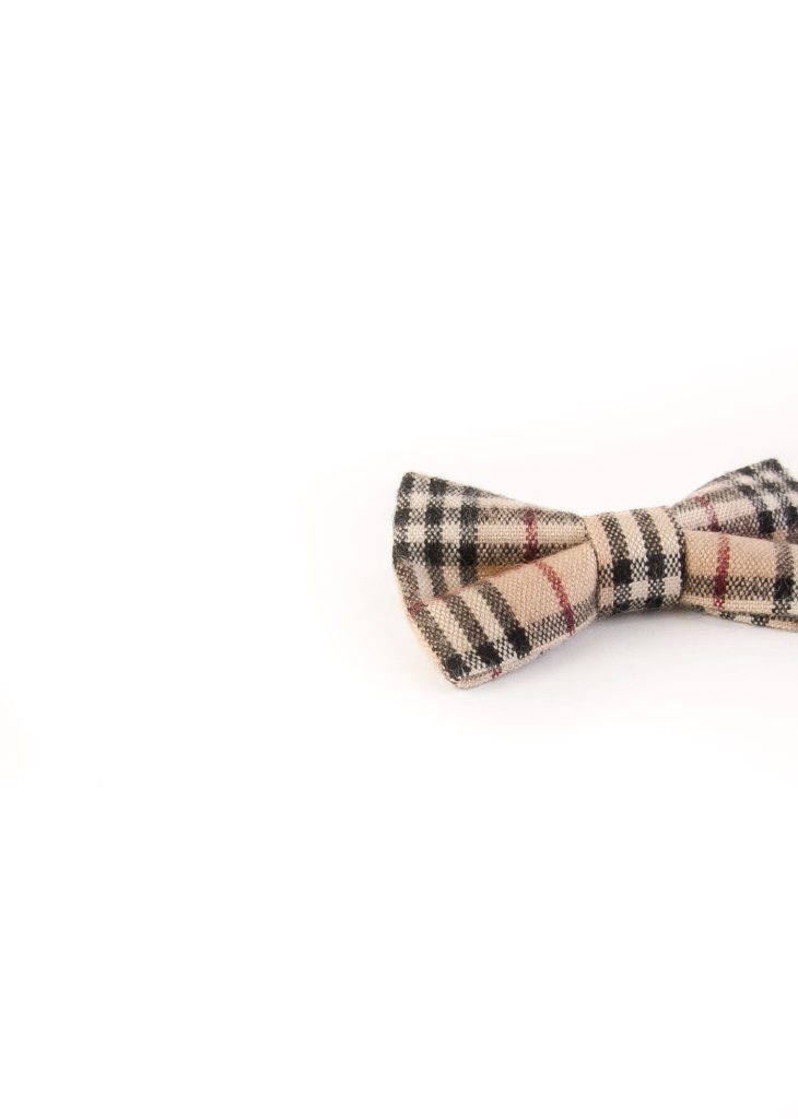 پاپیون رسمی خرید پاپیون از ایشومر اکسسوری آقایان bow-tie-new-15
