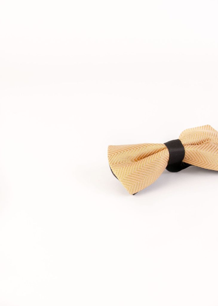 پاپیون رسمی خرید پاپیون از ایشومر اکسسوری آقایان bow-tie-new-52