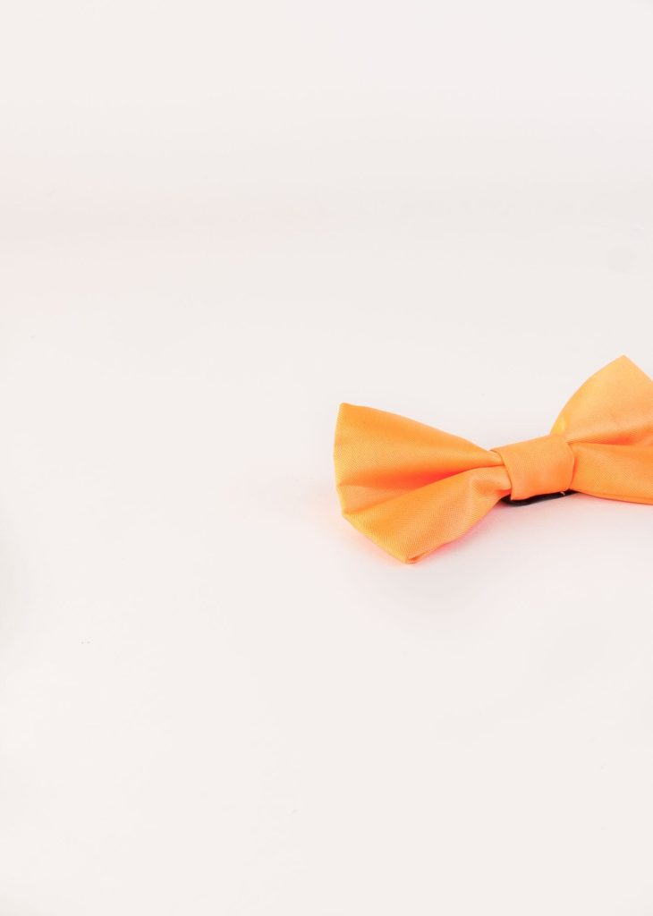پاپیون رسمی خرید پاپیون از ایشومر اکسسوری آقایان bow-tie-new-14