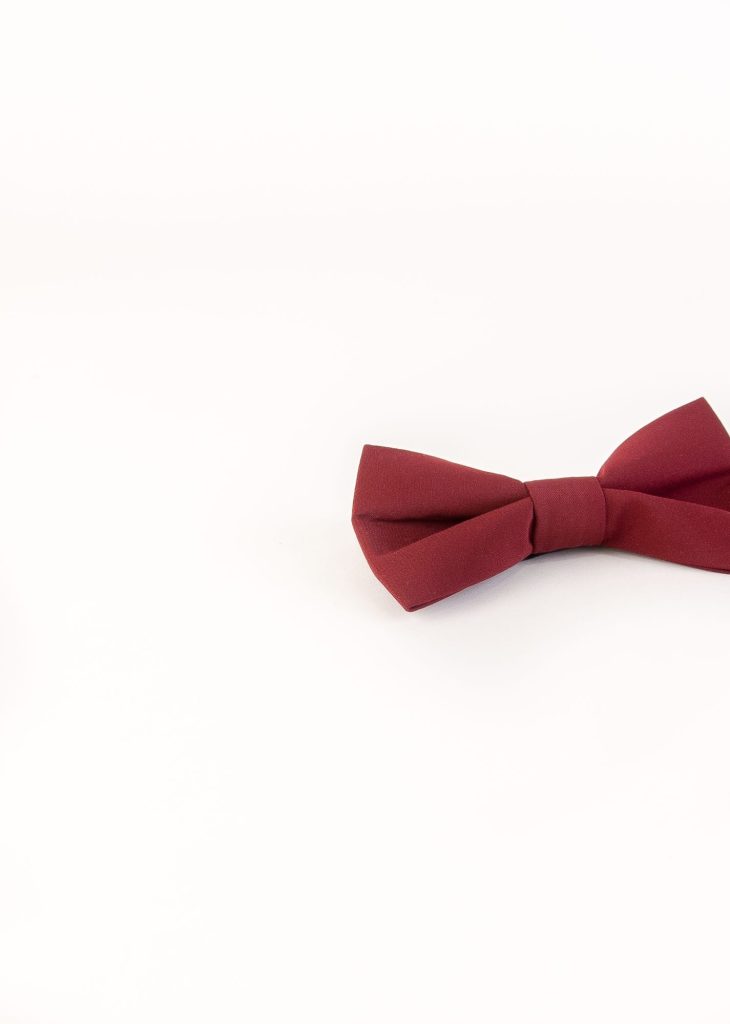 پاپیون رسمی خرید پاپیون از ایشومر اکسسوری آقایان bow-tie-new-26