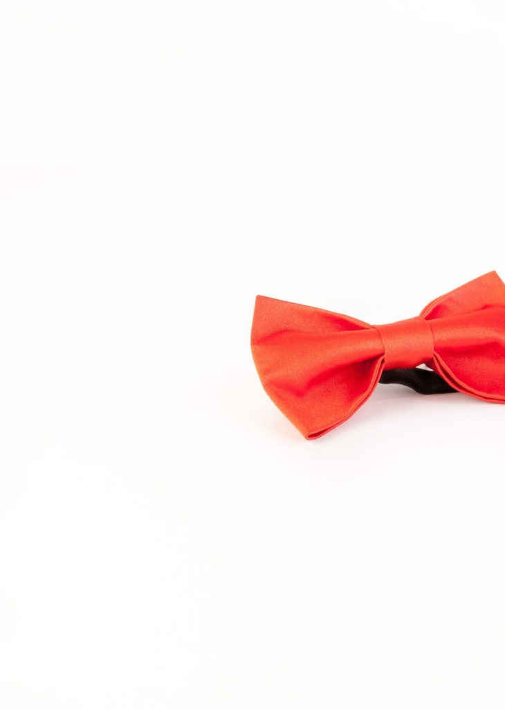 پاپیون رسمی خرید پاپیون از ایشومر اکسسوری آقایان bow-tie-new-38