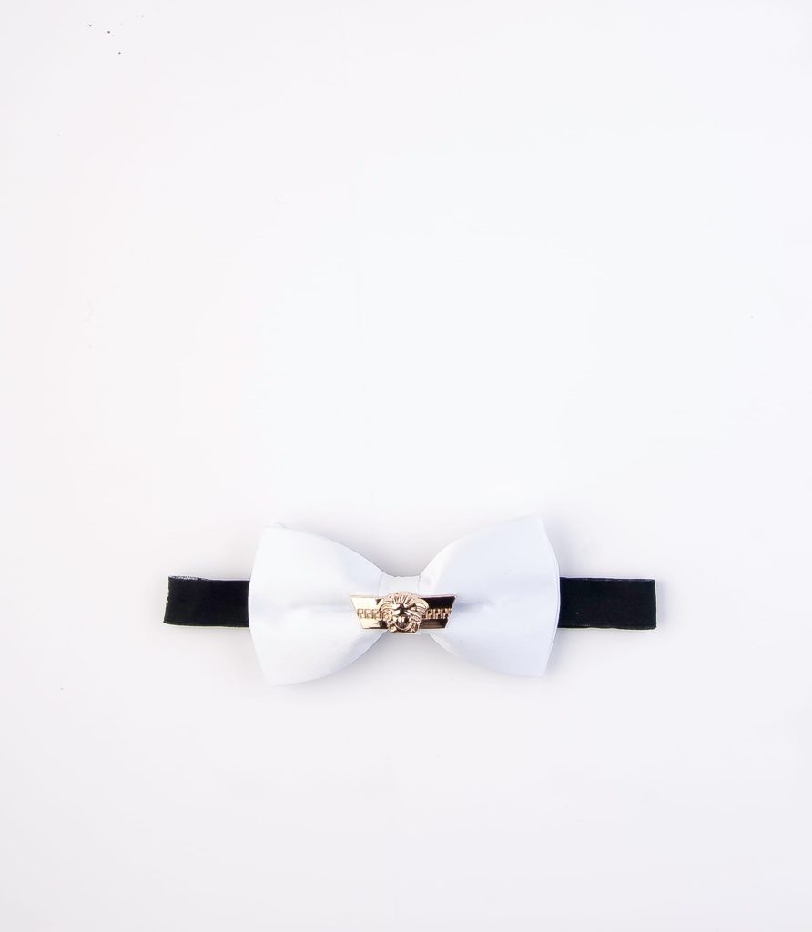 پاپیون رسمی خرید پاپیون از ایشومر اکسسوری آقایان bow-ties-1 (59)